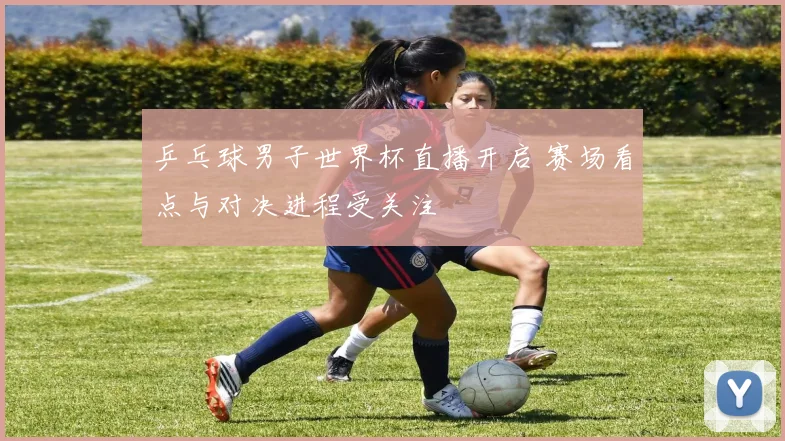 乒乓球男子世界杯直播开启 赛场看点与对决进程受关注