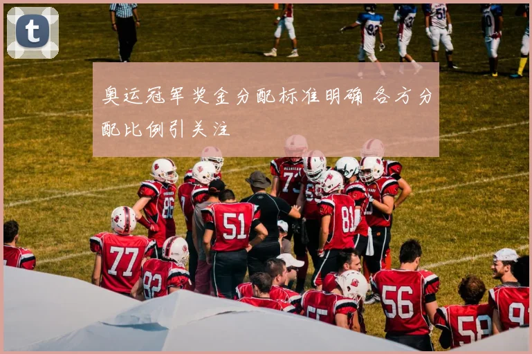 奥运冠军奖金分配标准明确 各方分配比例引关注