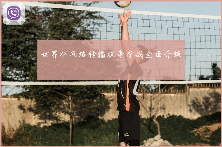 世界杯网络转播权争夺战全面升级