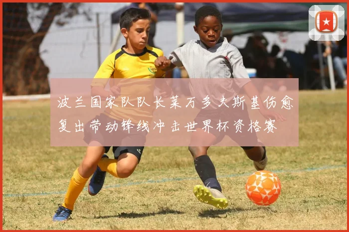 波兰国家队队长莱万多夫斯基伤愈复出带动锋线冲击世界杯资格赛