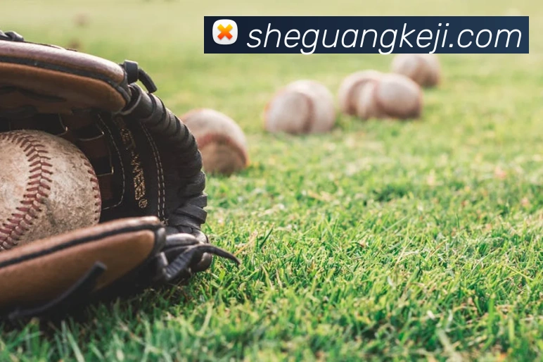 足球世界杯官网中文版平台生态图